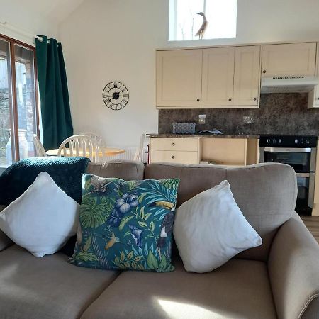 Irfon Cottage ビルス・ウェールズ エクステリア 写真