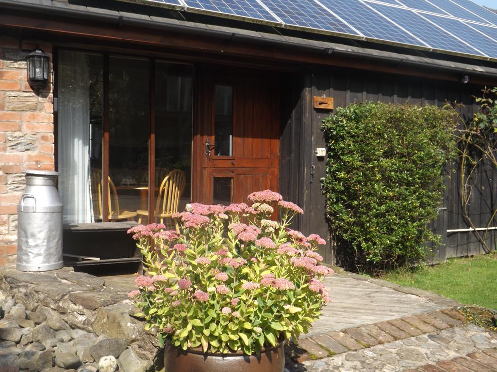 Irfon Cottage ビルス・ウェールズ エクステリア 写真