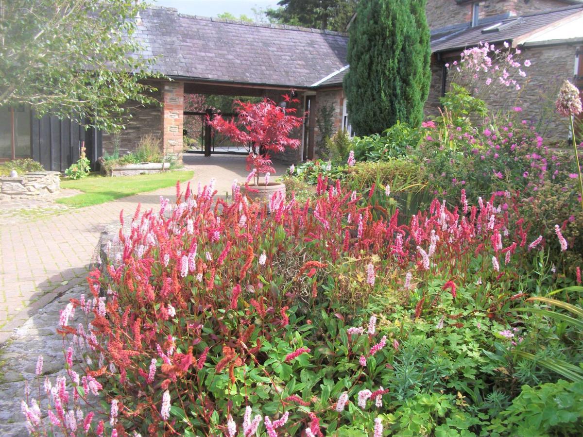 Irfon Cottage ビルス・ウェールズ エクステリア 写真